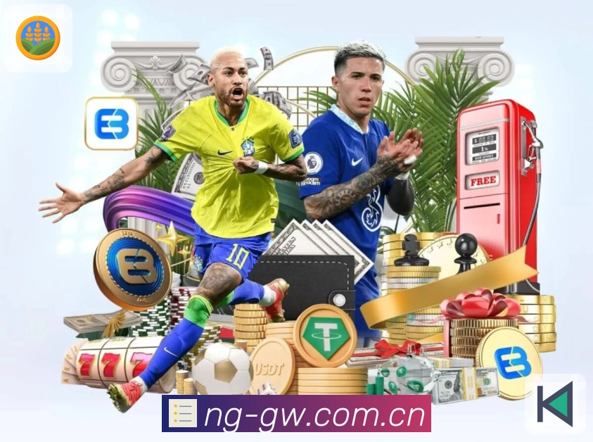 球队赛程与赛果